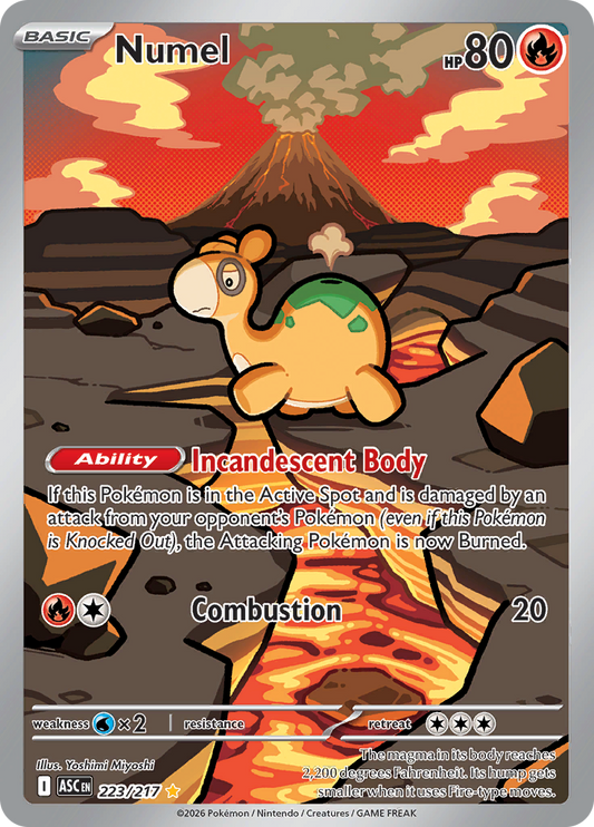 Numel 223/217 from Ascended Heroes (ASC) - Illustration Rare English Pokémon TCG single card