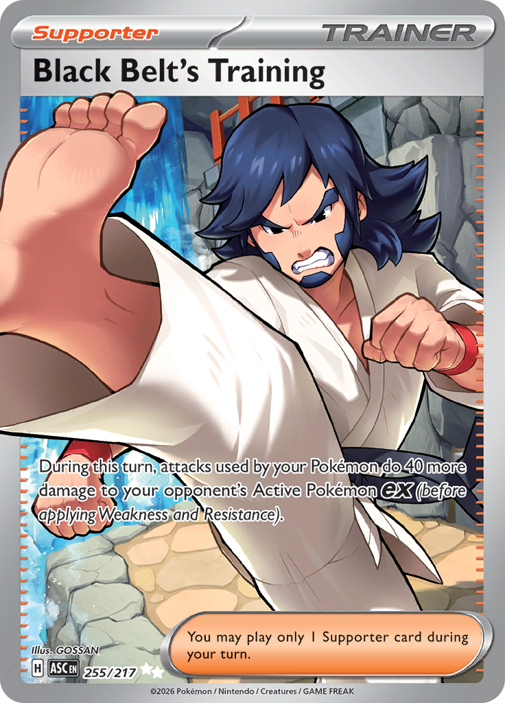Black Belt's Training 255/217 from Ascended Heroes (ASC) - Ultra Rare English Pokémon TCG single card