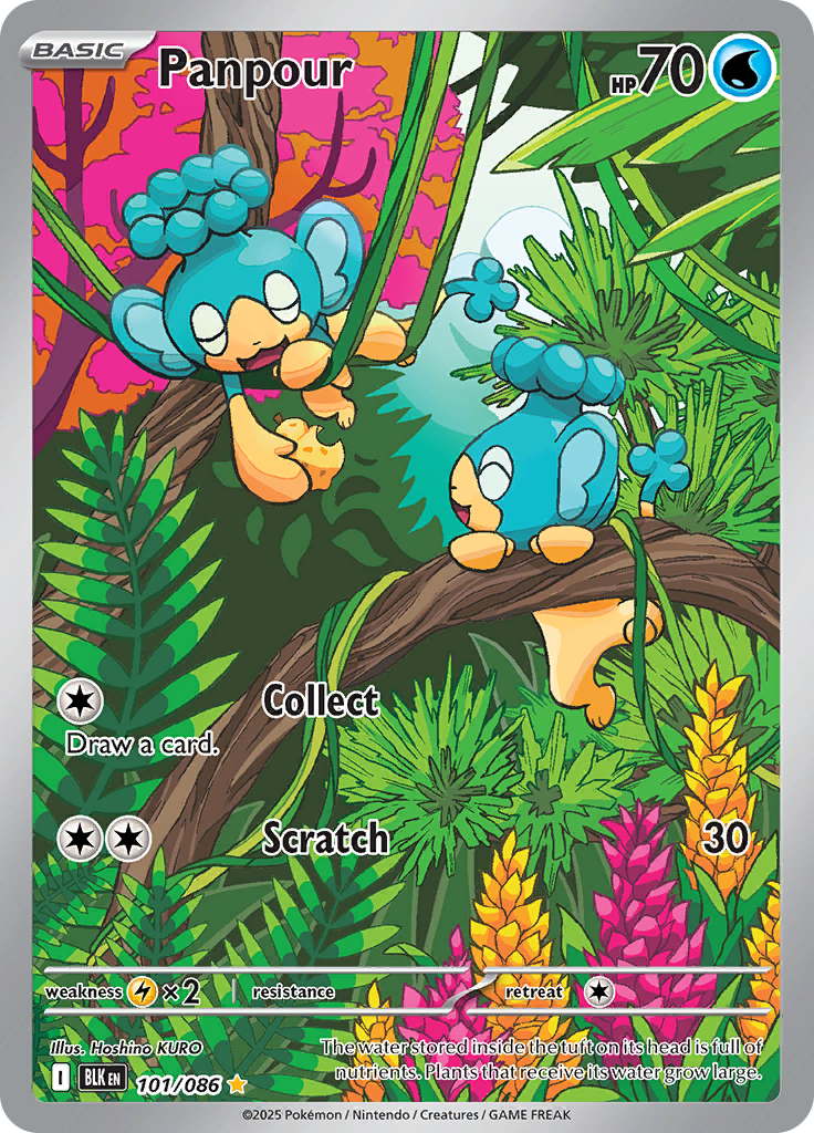 Panpour 101/086 from Black Bolt (BLK) - Illustration Rare English Pokémon TCG single card