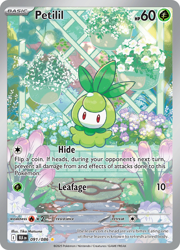 Petilil 091/086 from Black Bolt (BLK) - Illustration Rare English Pokémon TCG single card