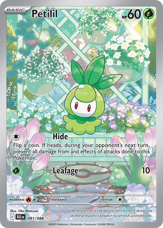 Petilil 091/086 from Black Bolt (BLK) - Illustration Rare English Pokémon TCG single card