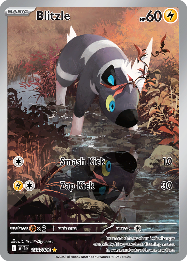 Blitzle 114/086 from White Flare (WHT) - Illustration Rare English Pokémon TCG single card