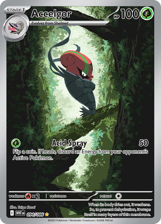 Accelgor 094/086 from White Flare (WHT) - Illustration Rare English Pokémon TCG single card